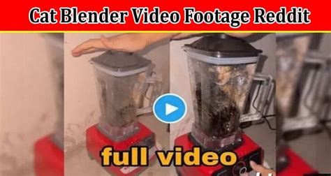 cat blender actual video|The Controversial Video: The Shocking Truth Behind。